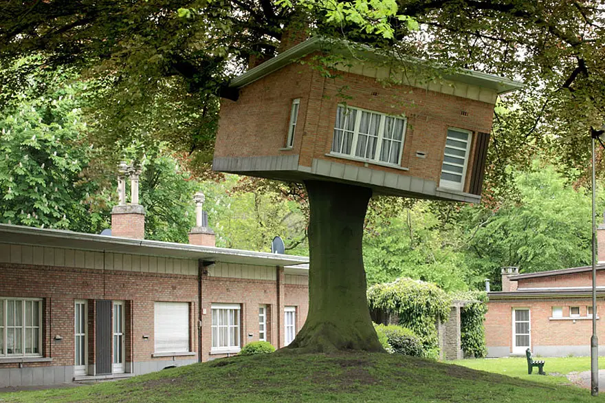 Casele din copaci pentru oameni mari