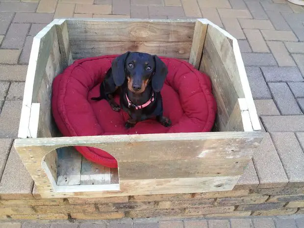 construirea unei custi de caine how to build a dog house with pallets 9