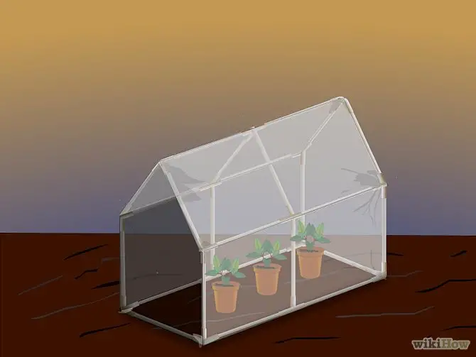 construirea unei minisere How to build a mini greenhouse 5