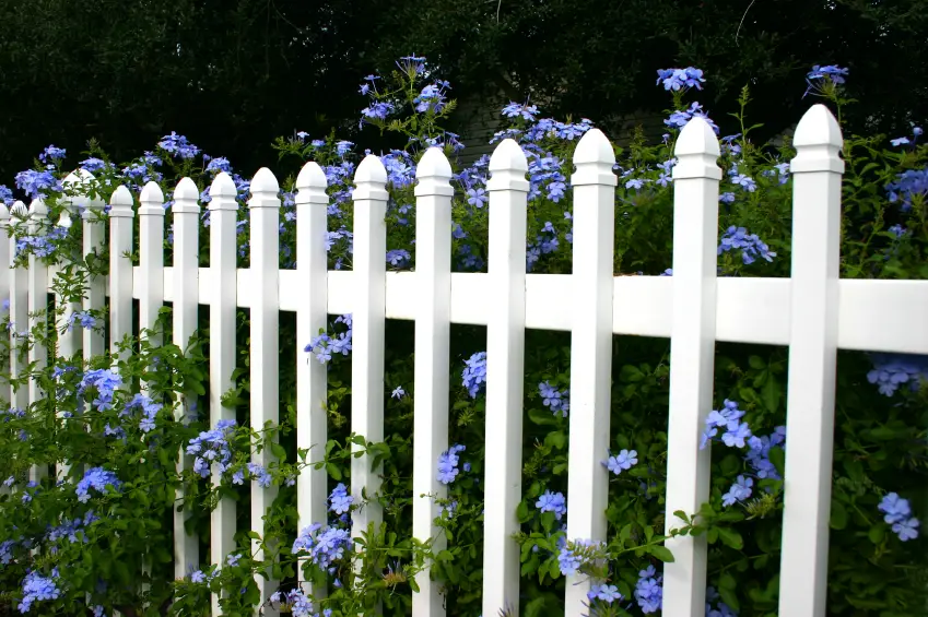gardulete din lemn pentru gradina Garden fencing ideas 4