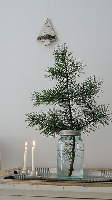 decoratiuni din crengi de brad Christmas fir branches decorations 15