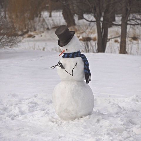 cei mai frumosi oameni de zapada Most creative snowmen 17