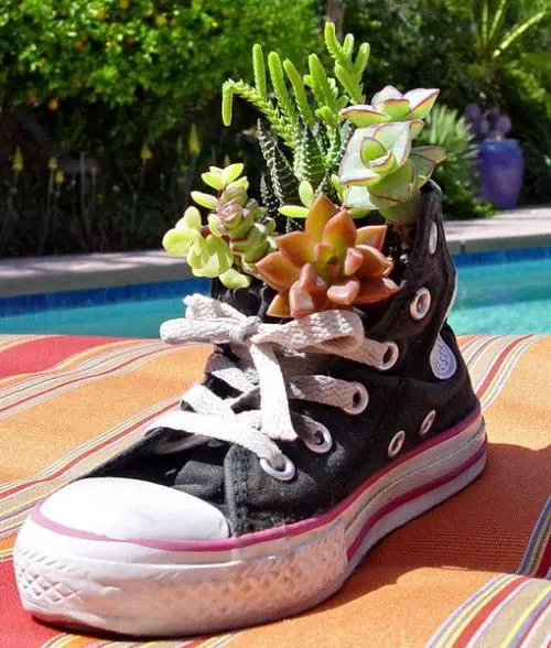 decoratiuni din pantofi shoe planters