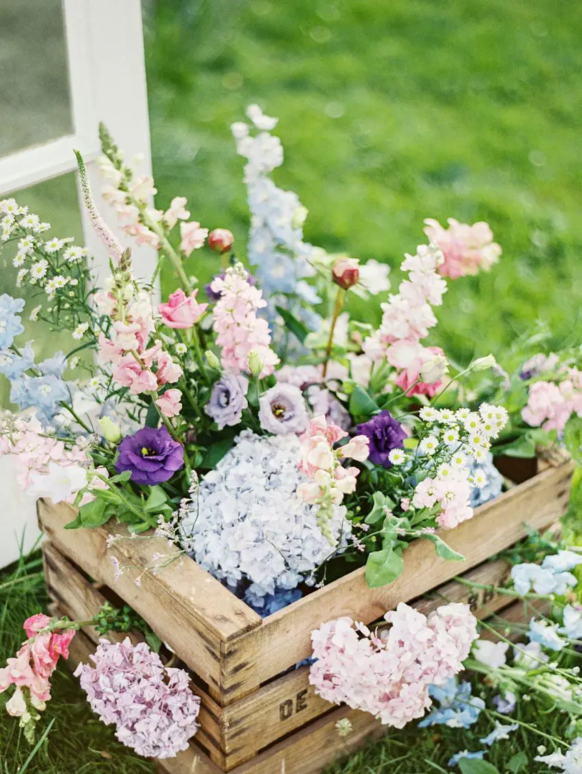 aranjamente de flori in gradina Garden floral arrangements 1