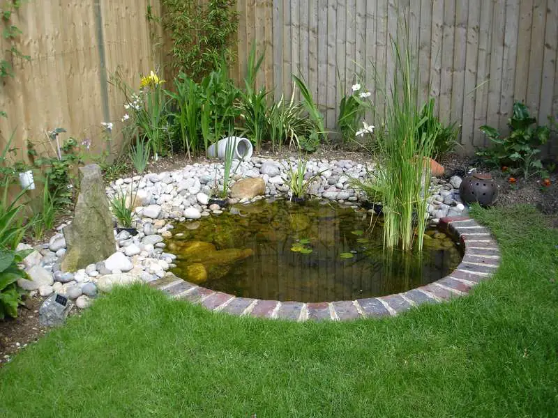 15 Charming Garden Pond Design Ideas - Houz Buzz
