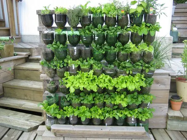 gradini verticale din peturi Plastic bottle vertical garden ideas 6