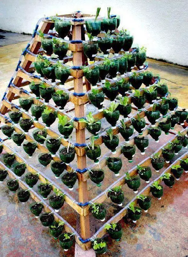 gradini verticale din peturi Plastic bottle vertical garden ideas 9
