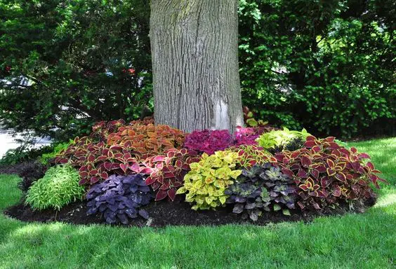 gradini amenajate simplu simple garden landscaping ideas 15