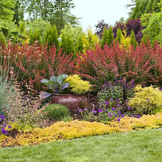 gradini amenajate simplu simple garden landscaping ideas 5