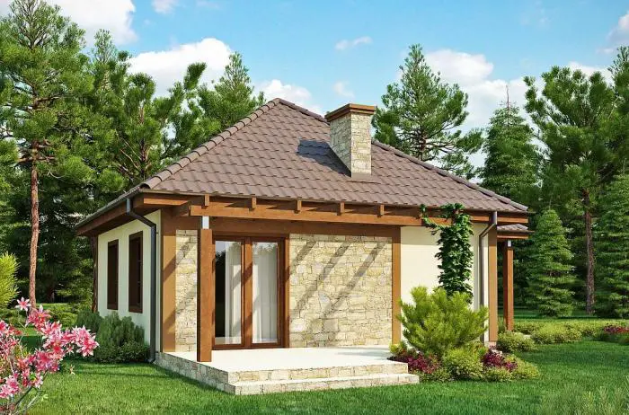 modele de case mici pentru parinti 1 terasa