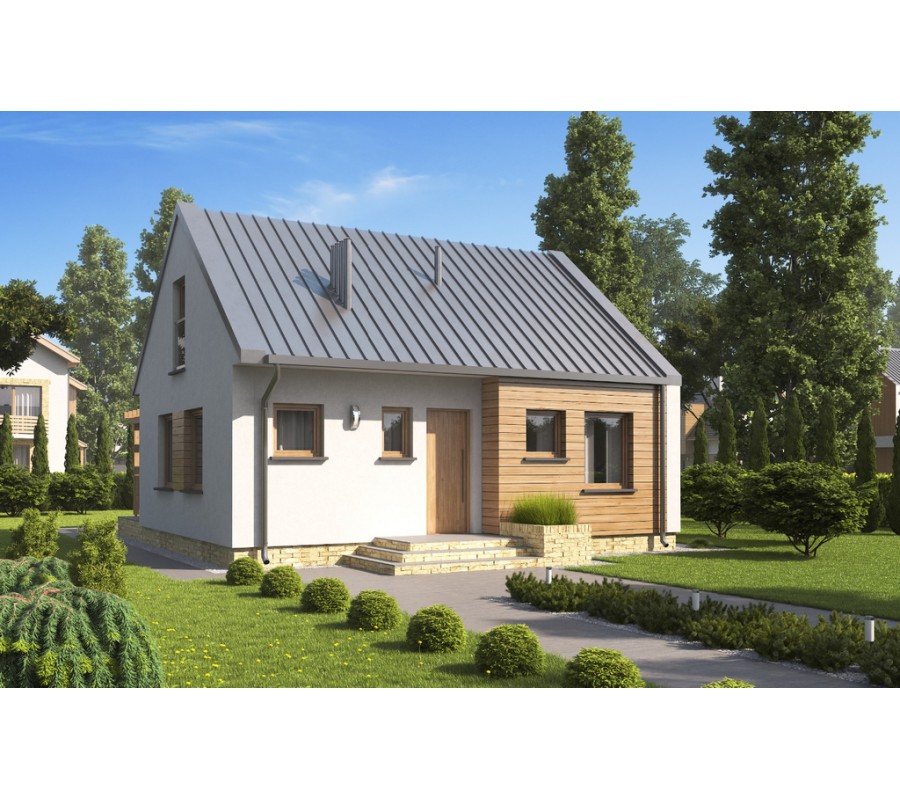 proiecte de case sub 30.000 de euro 2 intrare