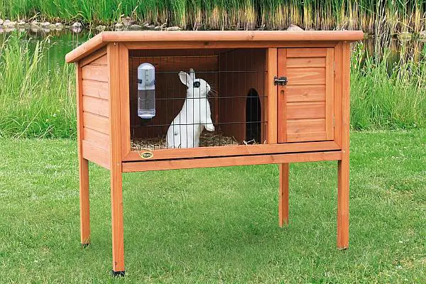 construirea unei custi pentru iepuri