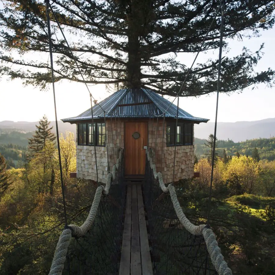 The tree house in the woods