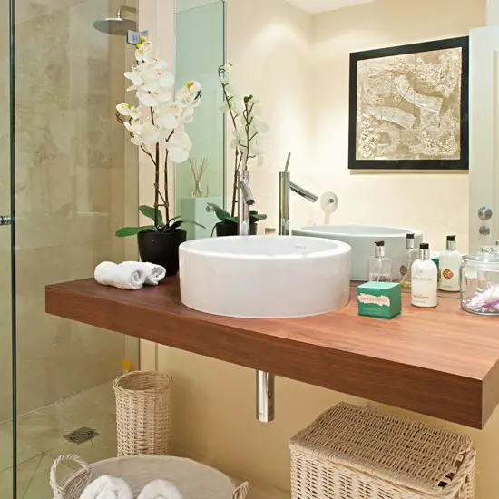 Best plants for bathrooms at home