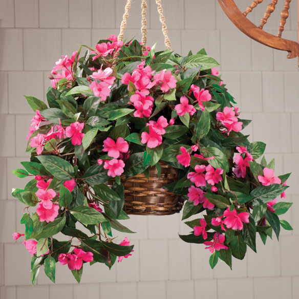Hanging basket plants ideas at home