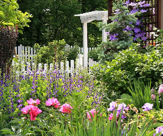 amenajarea unei gradini de vis dream garden design ideas 3