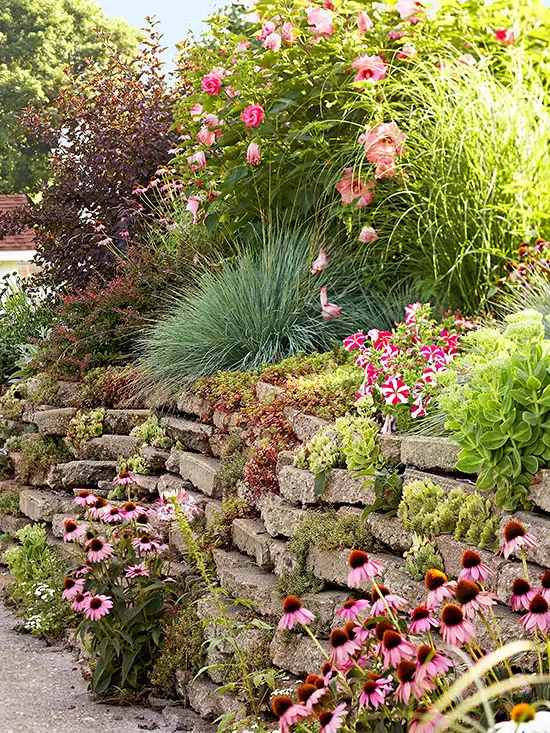 How to landscape a sloping garden in easy steps