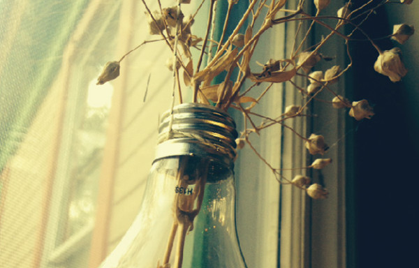 What you can do with old bulbs at home