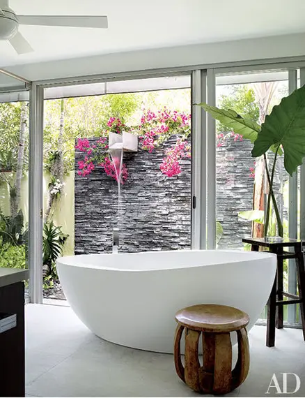 Amazing bathtubs at home