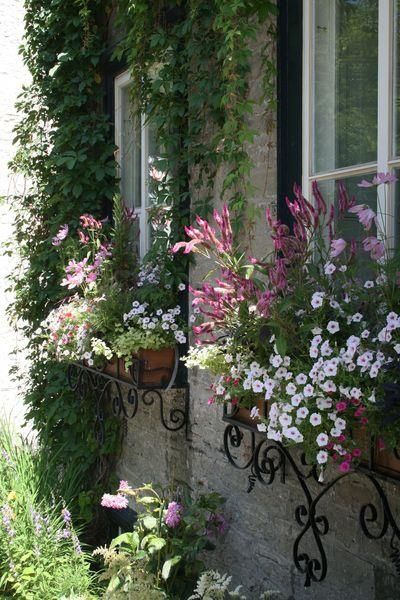 English style window boxes are superb