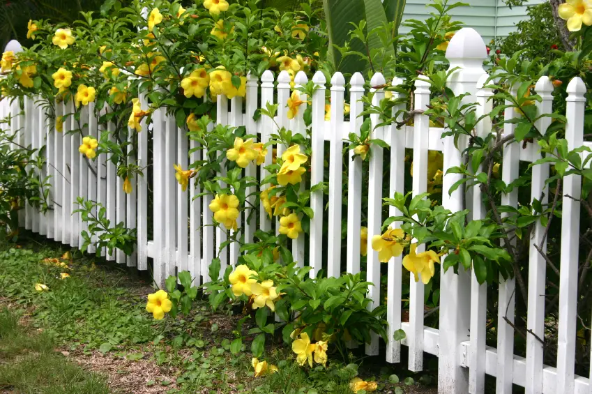 Garden fencing ideas at home