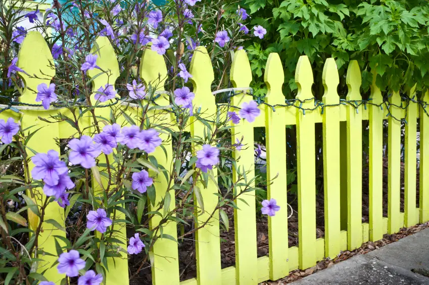 Garden fencing ideas at home
