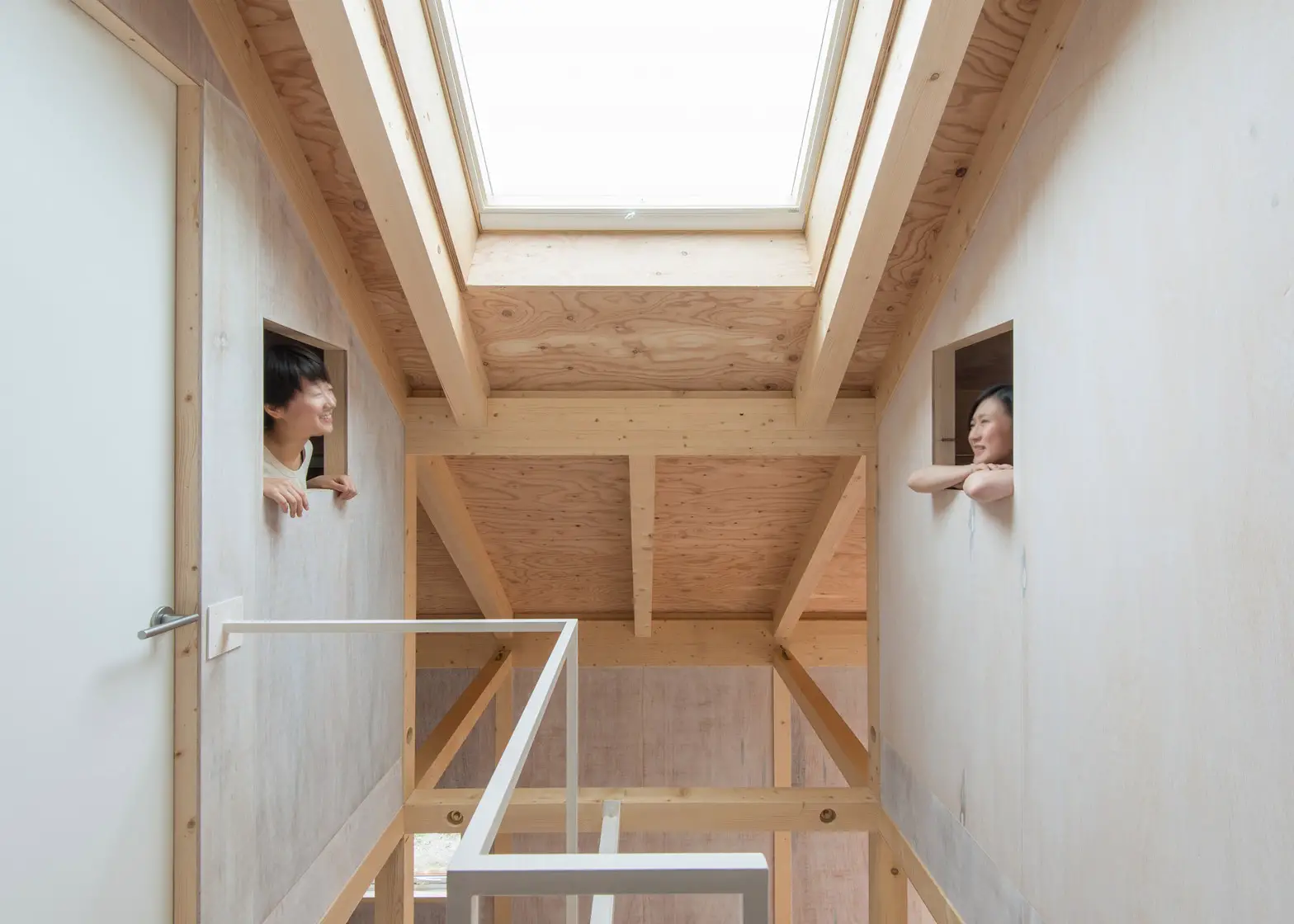 The timber and polycarbonate house in Japan