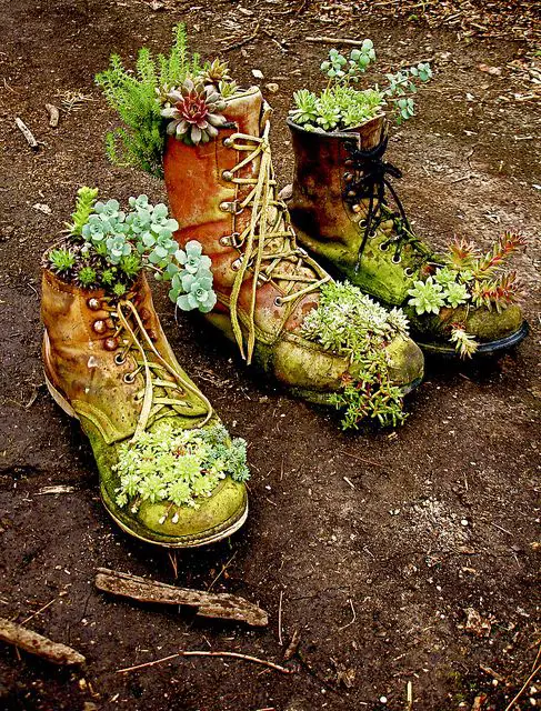 Shoe planters for outside