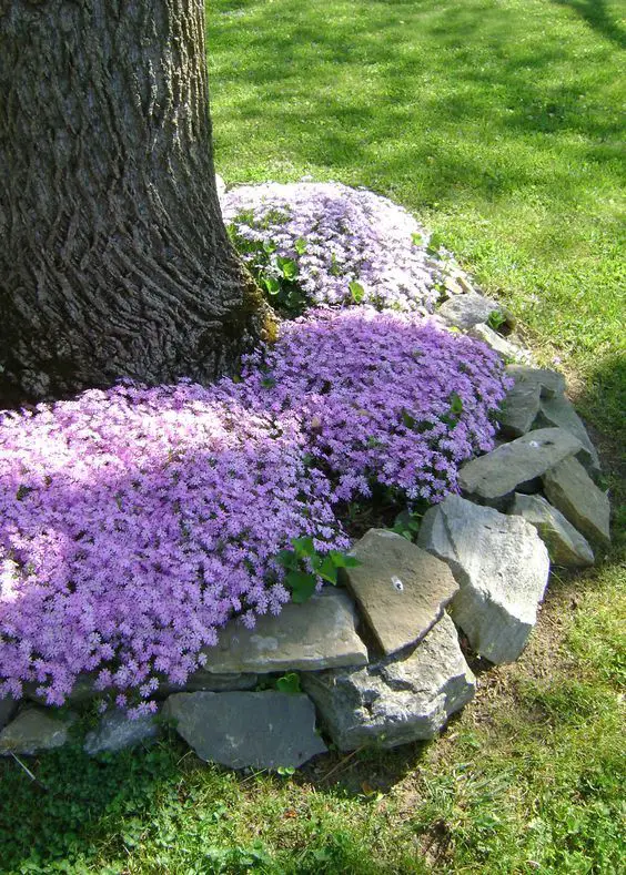 aranjamente de gradina cu pietre si flori Stone and flower garden design ideas 12