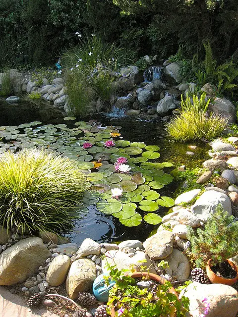 iazuri de gradina Garden pond design ideas 8