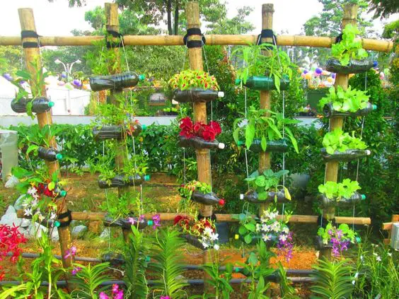 gradini verticale din peturi Plastic bottle vertical garden ideas 12