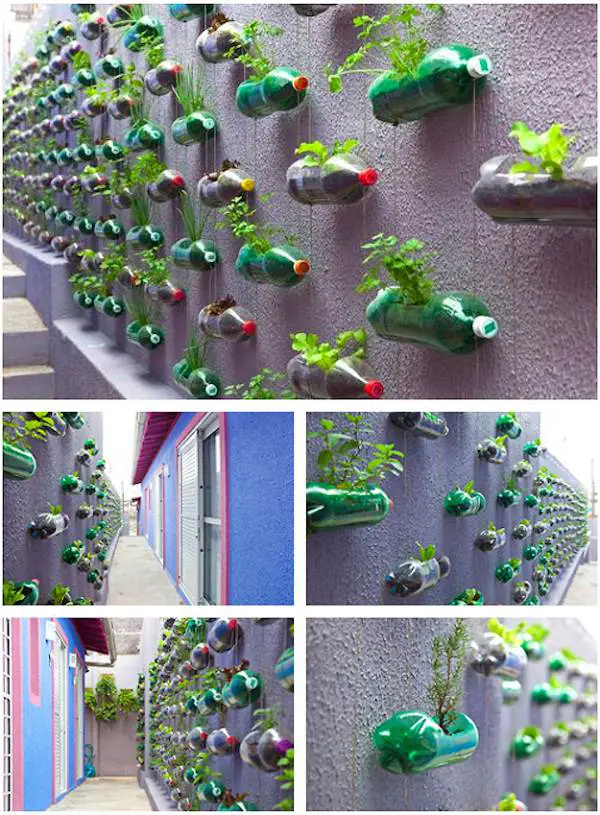 gradini verticale din peturi Plastic bottle vertical garden ideas 3