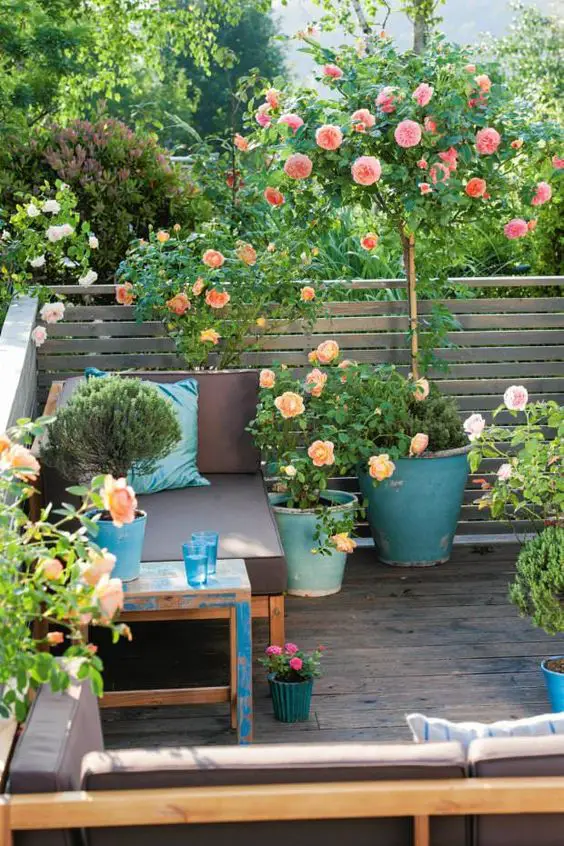 Small balcony garden ideas