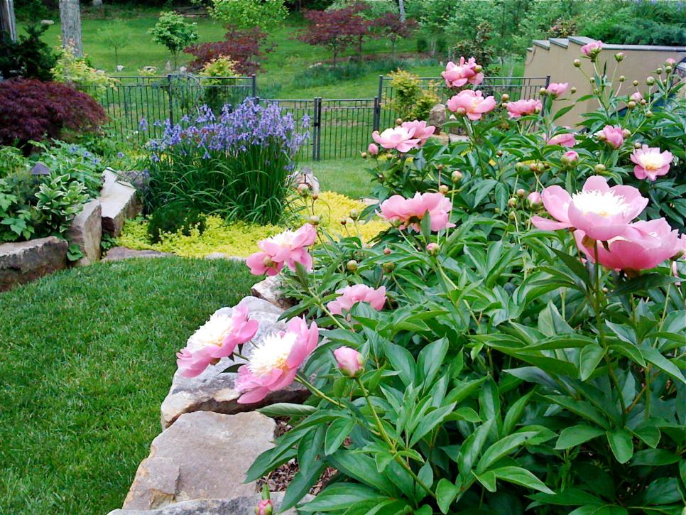 gradini amenajate cu gazon si flori Flower and lawn landscaping ideas 7