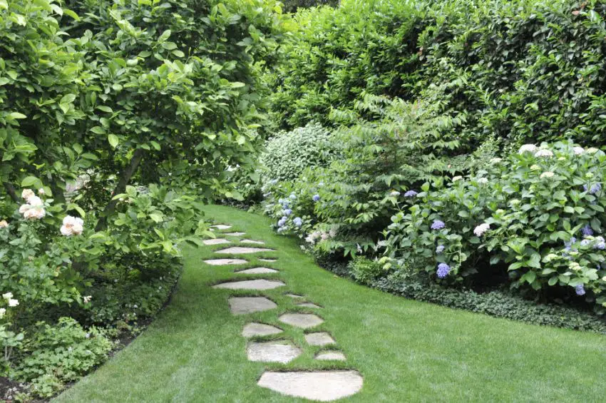 gradini amenajate simplu simple garden landscaping ideas 1