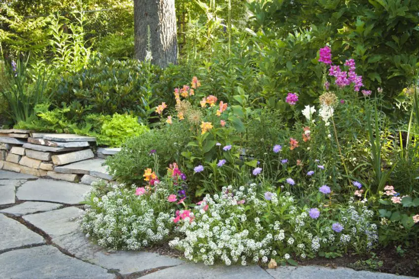 gradini amenajate simplu simple garden landscaping ideas 7