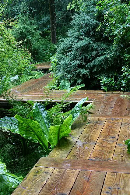 alei de gradina din lemn Garden wooden walkways 18