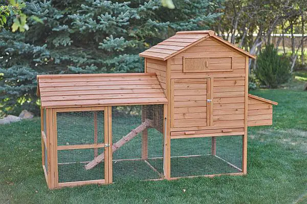 how to build a chicken coop