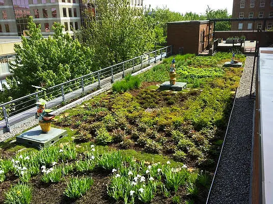 how to build a green roof