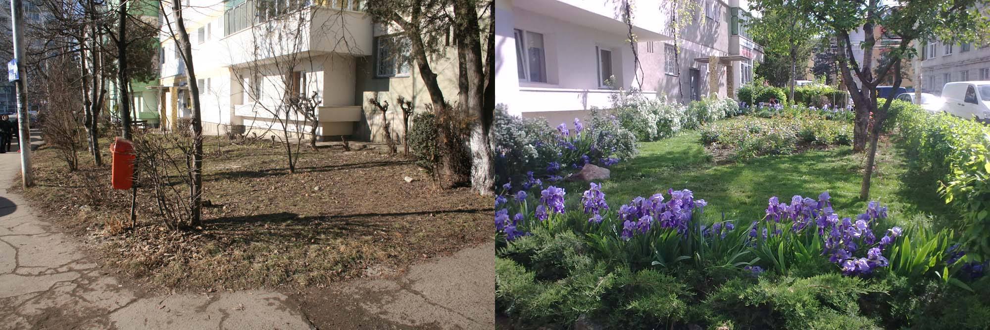 growing a garden when living in an apartment building