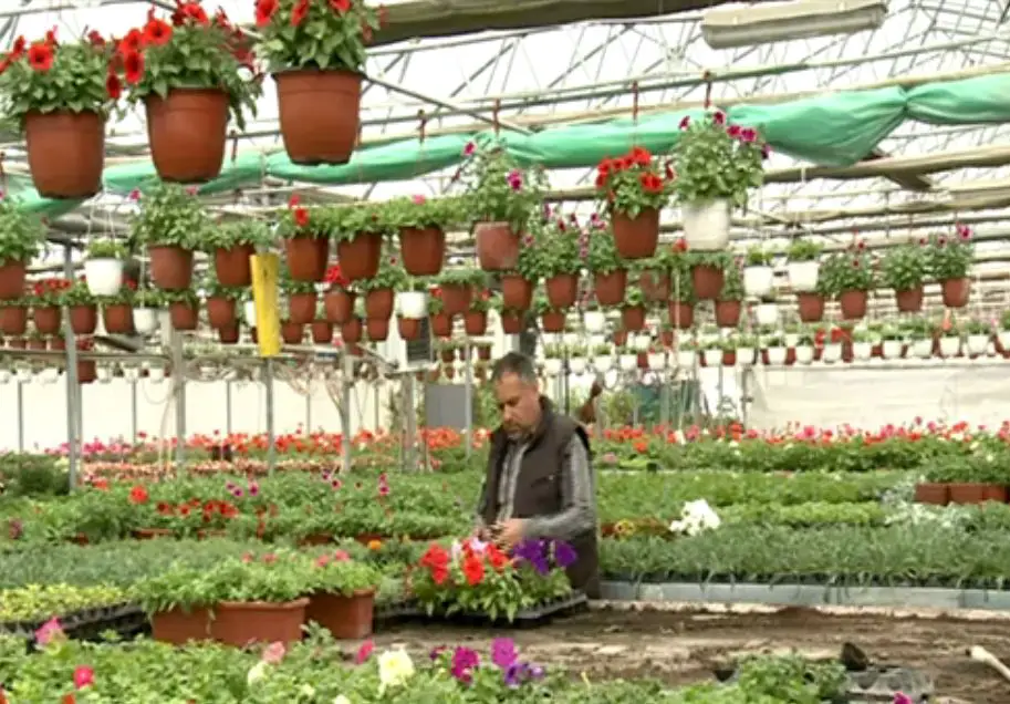 successful flower growing business