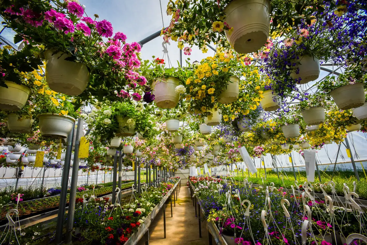 successful flower growing business
