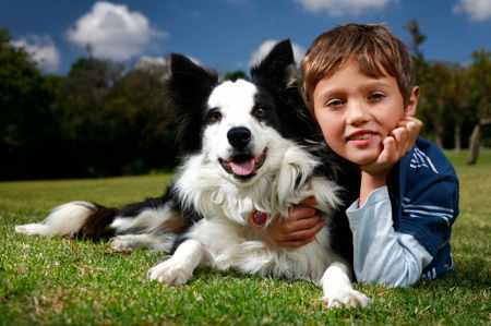 best dog breeds with children