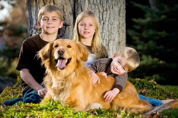 best dog breeds with children