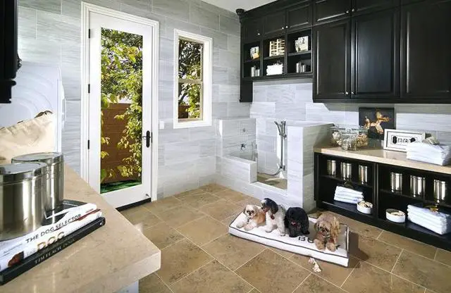 how to make your home more pet friendly