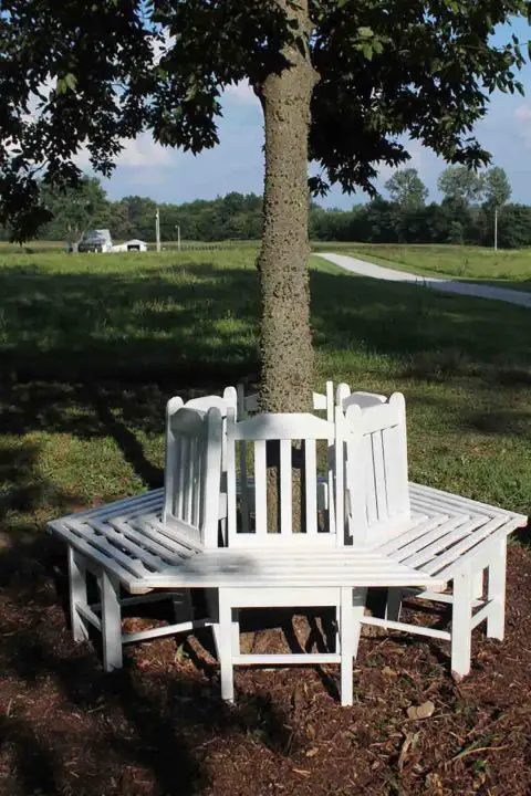 garden bench ideas