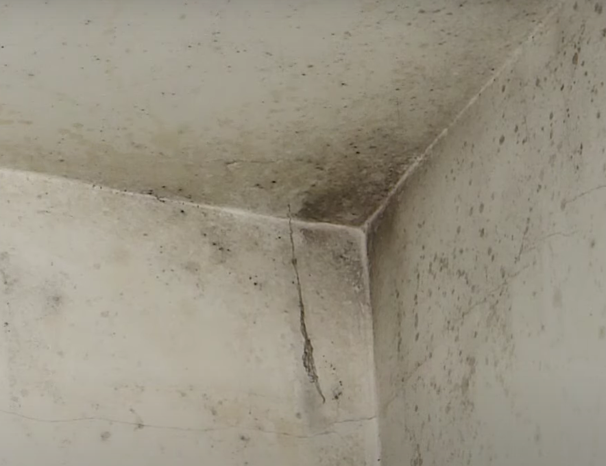 soluții pentru mucegaiul din casă mucegai pe pereți