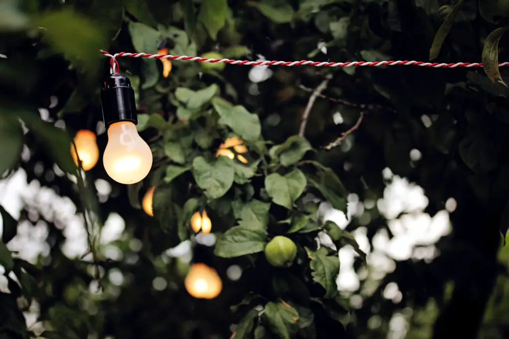 soluții de iluminat decorativ în grădină lumini în copac